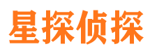 大新市私家侦探